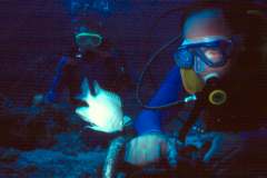 03hu057.jpg (5005 Byte)