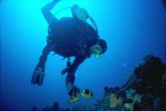 03hu109.jpg (4349 Byte)