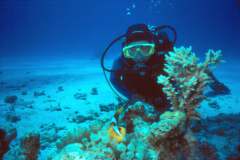 03hu171.jpg (6421 Byte)