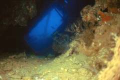 03hu194.jpg (5533 Byte)