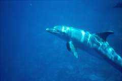 03hu239.jpg (3072 Byte)