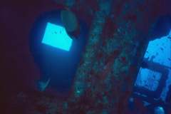 03hu267.jpg (3788 Byte)