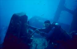 03hu282.jpg (3605 Byte)