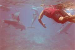 03n206.jpg (4128 Byte)