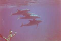 03n208.jpg (2850 Byte)