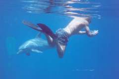 03n209.jpg (3516 Byte)