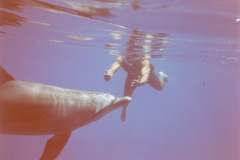 03n218.jpg (3371 Byte)