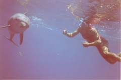 03n220.jpg (3556 Byte)