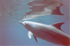 03n224.jpg (3833 Byte)