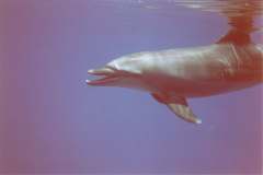 03n226.jpg (2729 Byte)