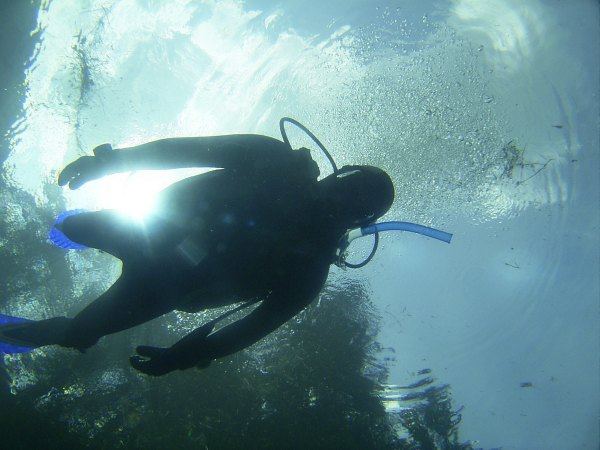 nur fliegen ist schner