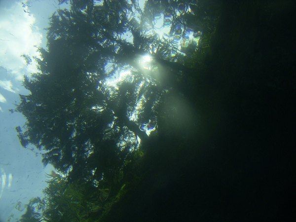 klarstes wasser - sonne - natur pur