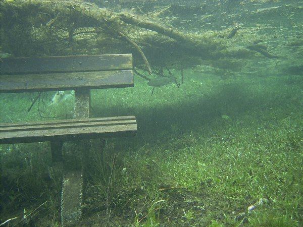 sitzbank fr forellen