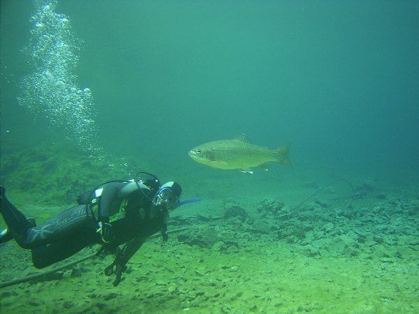 unheimliche begegnung