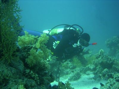 jan auf entdeckungsreise