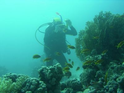 jan auf entdeckungsreise