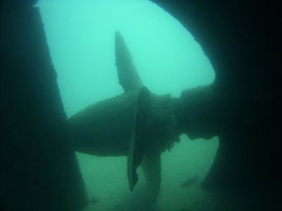 schraube der "balena"