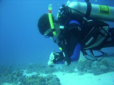 alex beim padi-specialty uw-navigation