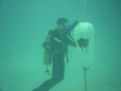 alex beim padi-specialty search&recovery