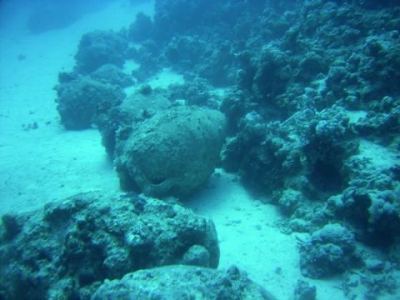 tonkrge aus frheren zeiten am sha'ab sadna 