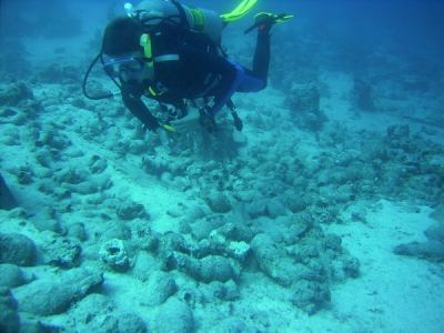 alex bei den spuren eines schiffbruchs vor langer zeit am sha'ab sadna 