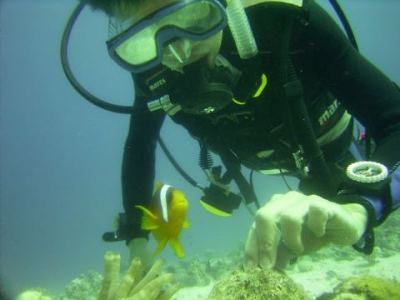 alex spielt mit nemo