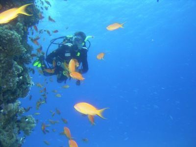 alex am belebten riff