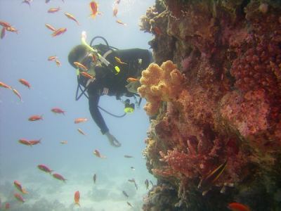 alex am belebten riff