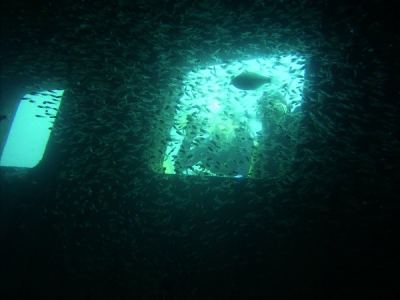 salon der "excalibur"