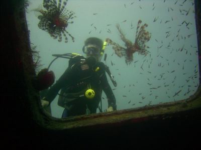 alex betrachtet rotfeuerfische an der "excalibur"