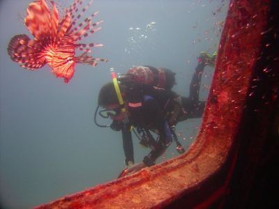 alex an der "excalibur"