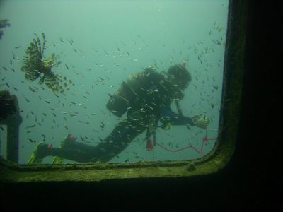 alex an der "excalibur"