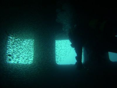 alex im salon der "excalibur"