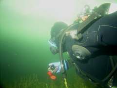 04sy02-k.jpg (4228 Byte)