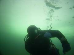 04sy03-k.jpg (3458 Byte)