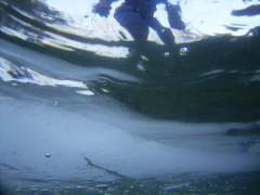 04sy11-k.jpg (5379 Byte)