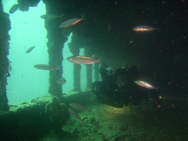 gangway oder aquarium?