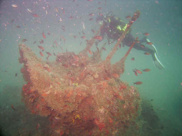 gerold an den bord-mg's