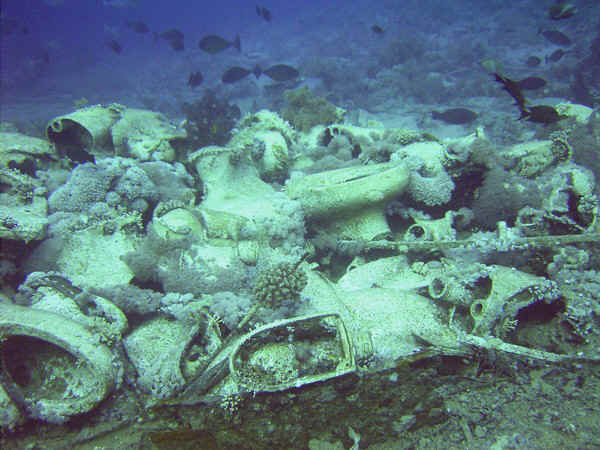 ras muhammad - wrack "jolanda"