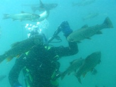 Heiko im Streichelzoo