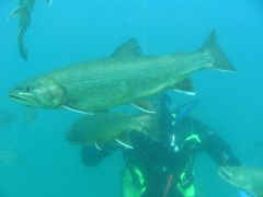 Heiko im Streichelzoo