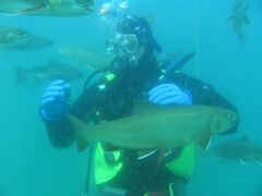 Heiko im Streichelzoo