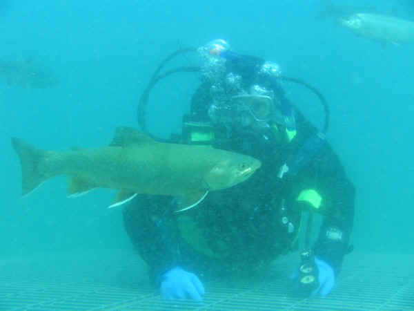 Heiko im Streichelzoo