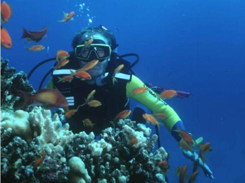 100er.jpg (25916 Byte)