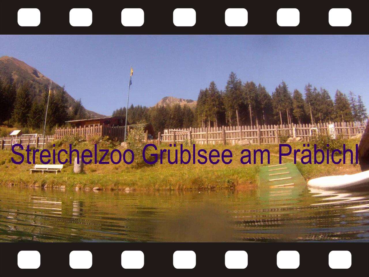 Streichelzoo am Prbichl