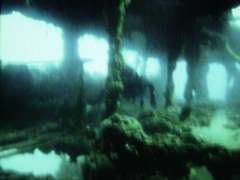 kurzfilm vom tauchen in der "baron gautsch"