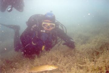 erlauf2.jpg (12037 Byte)