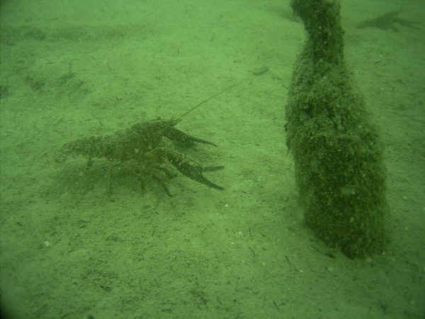 klarstes wasser - sonne - natur pur