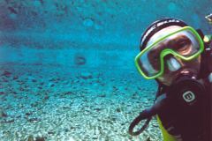 grse03.jpg (10208 Byte)