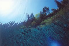 grse08.jpg (7103 Byte)